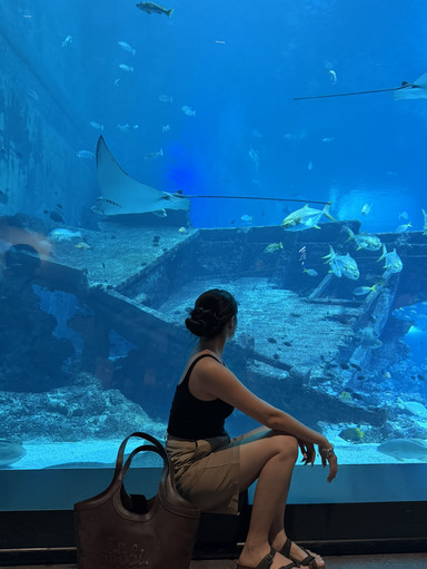 シンガポール水族館（Singapore Oceanarium）。 | Trip.com シンガポール