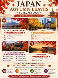 🍁 Save This! 🍁 Japan Autumn Leaves Forecast 2026 by Region