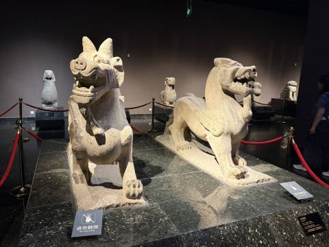 洛陽博物館 - 石蕪丙 | 千年を生き抜いた守護獣 | Trip.com 洛陽