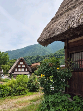 Shirakawa Go: соломенные крыши и рисовые поля