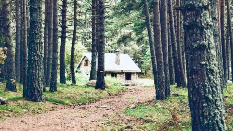 Villarrica Volcano, Crater Lake and the Cliff Moss Sulphur Smoke: The Active Ascenteasytravelpost # — traveler post in Pucon