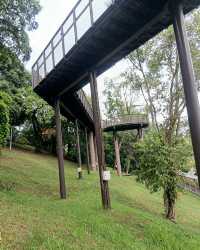 🌿✨ My Stroll at Bukit Batok Neighbourhood Park — A Peaceful West Side Escape! 🇸🇬