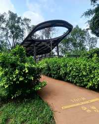 🌿✨ My Stroll at Bukit Batok Neighbourhood Park — A Peaceful West Side Escape! 🇸🇬