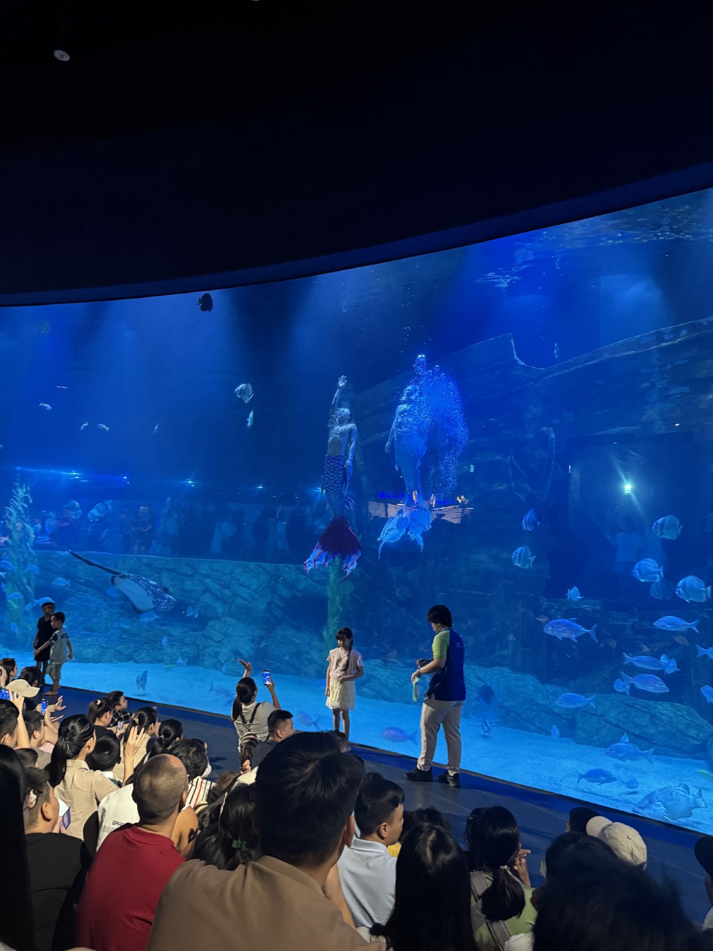 Thuỷ cung ở Lotte west lake rất phù hợp cho trẻ đi chơi cuối tuần