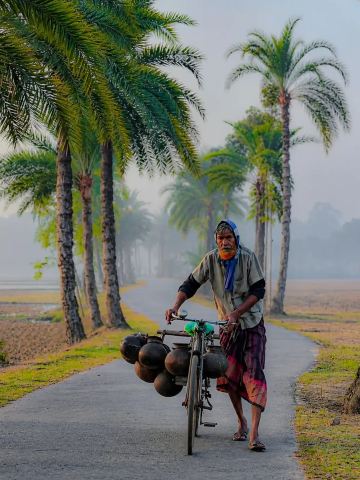 Winter Magic in Bangladesh: Sipping Fresh Date Palm Sap 🌴❄️