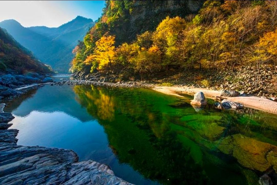 Shaanxi di Musim Gugur — Pertemuan Daun Emas dan Keajaiban Tiongkok Kuno 🍂🏯