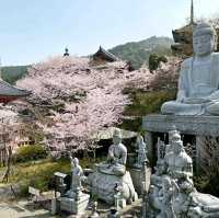 治愈神殿