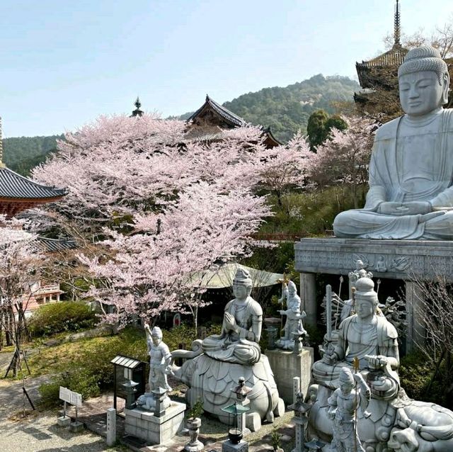 治愈神殿