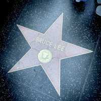 WALK of Fame