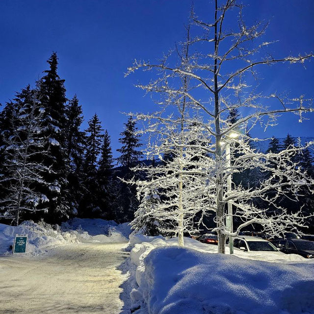 Alyeska Resort is a Must Visit 