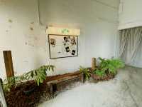 Brand New Yolk Cafe@Weld Quay, Penang