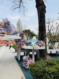 A serene oasis in the heart of Beijing 🌸