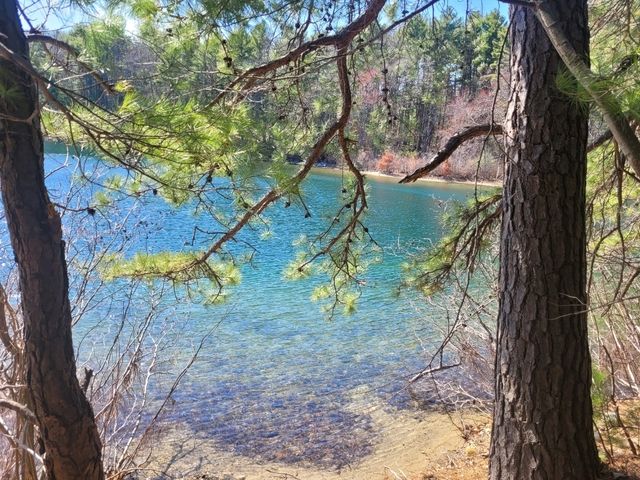 Beautiful spot in nature