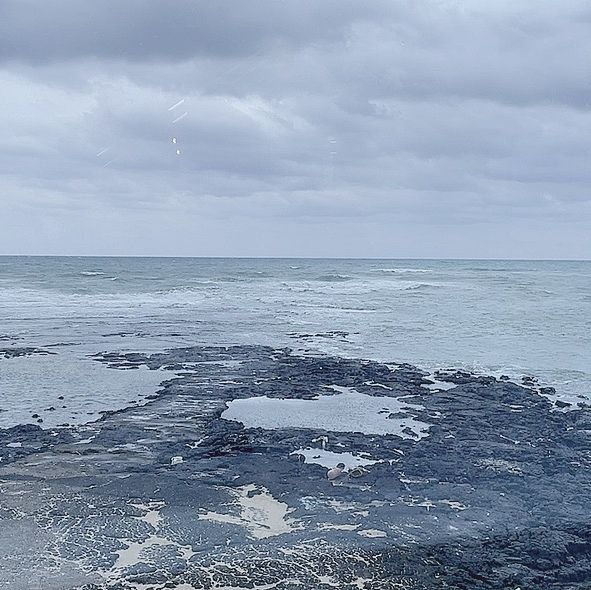 제주 구좌읍 바다를 마주한 감성카페“비수기애호가”