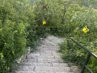 Fragrant hills