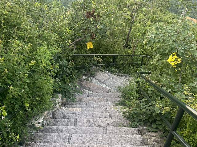 Fragrant hills