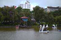 Late Afternoon at Burnham Park, Baguio