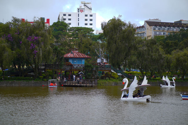  Late Afternoon at Burnham Park, Baguio