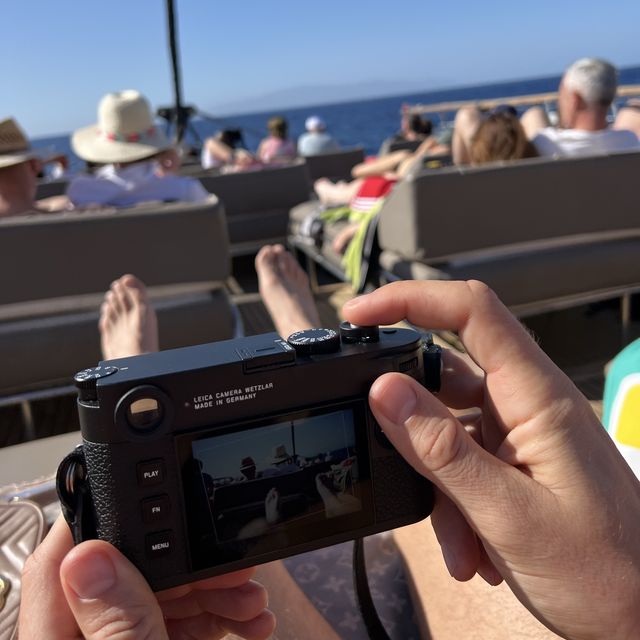 Tenerife whales watching 