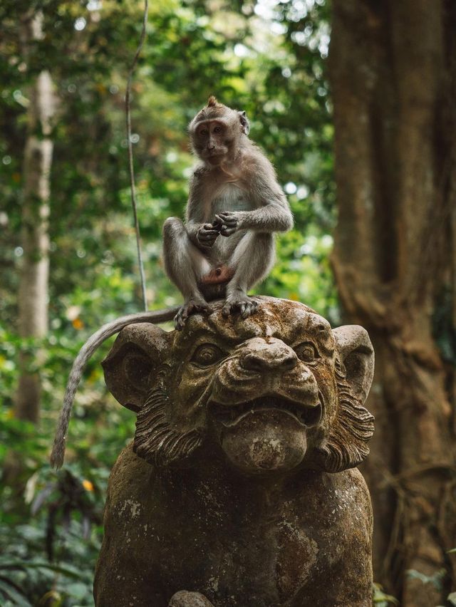  Sacred Monkey Forest Sanctuary
