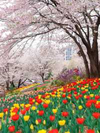 안산 연희숲속쉼터 🌺🌸