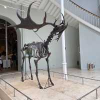 National museum of Scotland