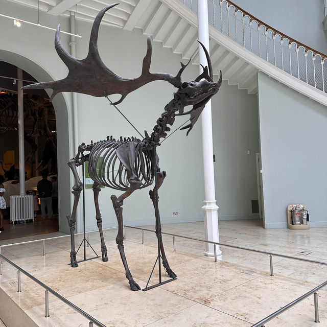 National museum of Scotland