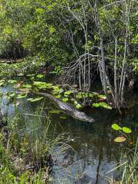 Everglades National Park