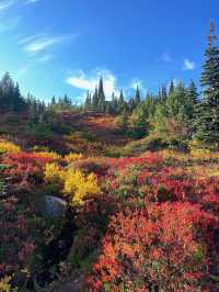 가을에는 마운트 레이니어 국립공원(Mount Rainier National Park)을 방문하세요