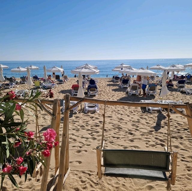 Beachfront Bliss at Hotel Sentido Marea 🚂🌊