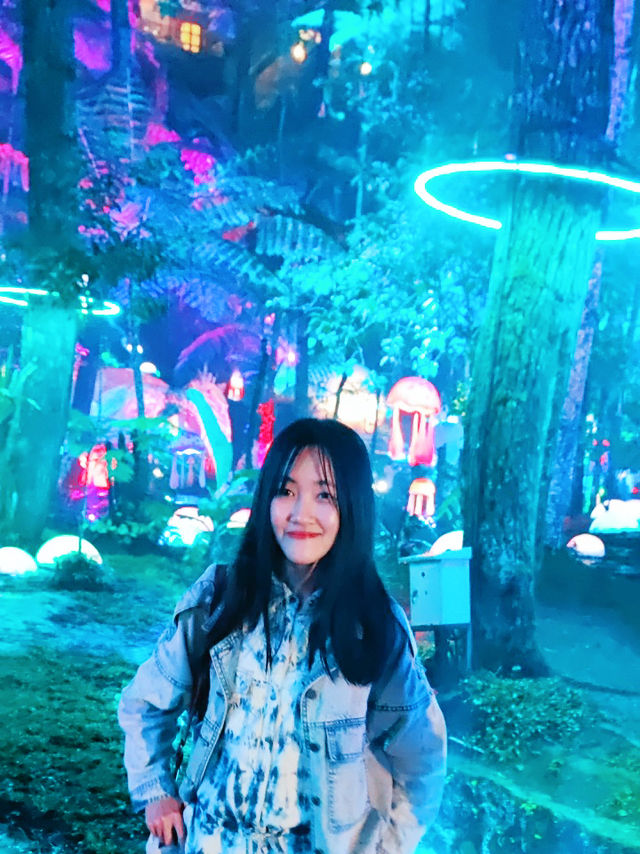 Mystical Wonderland Trip: Mycelia Forest Adventure in Lembang, Bandung - Indonesia