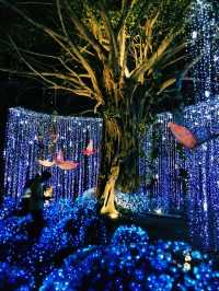 Bangkok by Night: Winter Illumination and Stunning Views