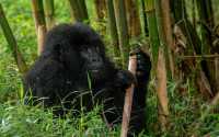 WHAT TO EXPECT WHEN YOU VISIT UGANDA