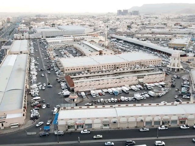 Medina: The Radiant City of the Prophet
