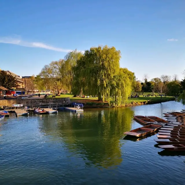 Spring in Cambridge: Where Ivy Grows and Rivers Flow