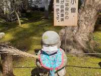 Tour the cave at a temple famous for its strange rocks