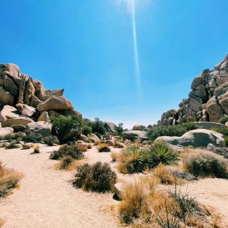 🥾 Best Hike in Joshua Tree National Park: Hidden Valley Trail 🌵