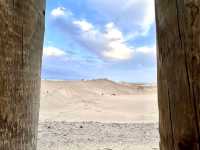 🏜️ 大自然の奇跡:マスパロマス砂丘(Dunas de Maspalomas🌅