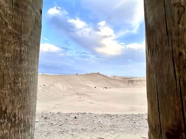 🏜️ 大自然の奇跡:マスパロマス砂丘(Dunas de Maspalomas🌅 🏜️ 大自然の奇跡:マスパロマス砂丘(Dunas de Maspalomas🌅