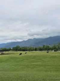 Taitung Taiwan Complete Travel Guide and itinerary: Eastern Paradise