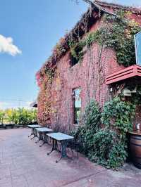 🍷🥩 Wonderful Local Lunch at La Vinya Grill — A True Hidden Gem in Barcelona