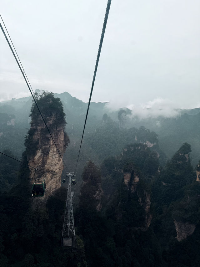 I Walked in the World of AVATAR & Found Heaven's Gate