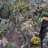 Muttart Conservatory