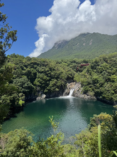 日本・屋久島。 | Trip.com 屋久島町