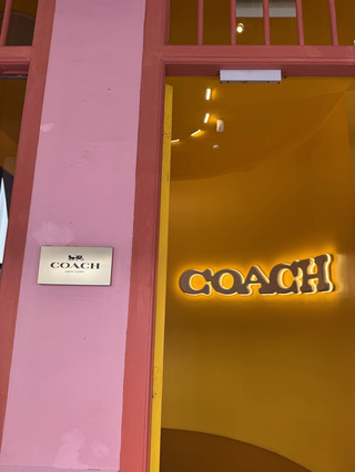 Chinatown Vibes: Chic Cafes & Trendy Coach Boutiques in Singapore