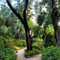 🏯🦢 Kowloon Park: A Hidden Oasis in the City 🌳🐒