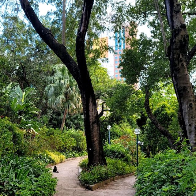 🏯🦢 Kowloon Park: A Hidden Oasis in the City 🌳🐒