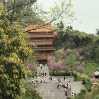 Prince Teng’s Pavilion 🌸