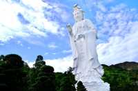 Netizens' strict selection of Hong Kong's top 5 must-visit attractions