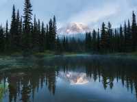 🏔️Mount Rainier National Park | Accidentally stumbled into Heidi's garden